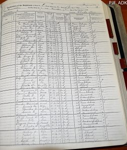 1925 new york census